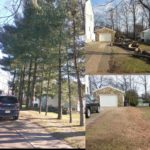 Tree Removals- nuisance of sap and pine needles on cars