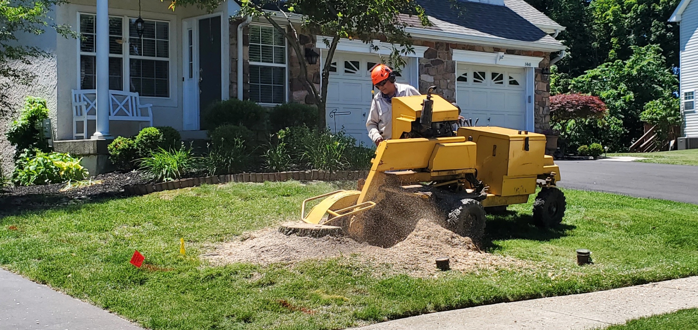 Stump Grinding